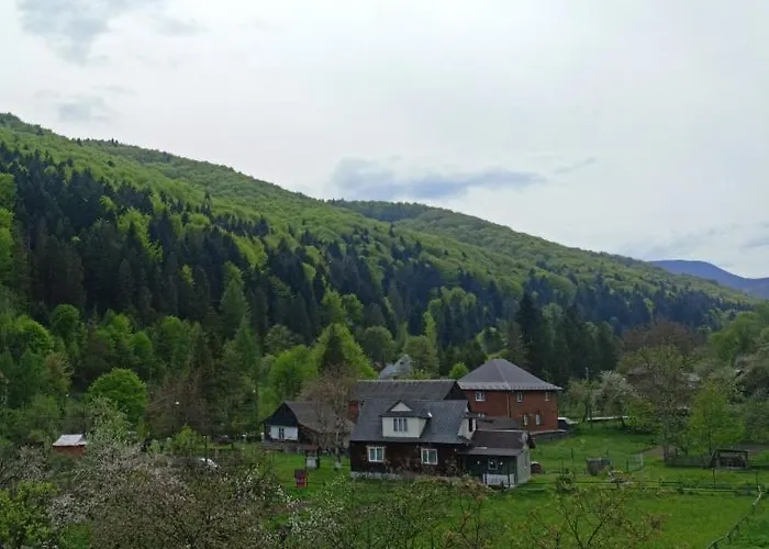 гостьовий двір 招待所 3*