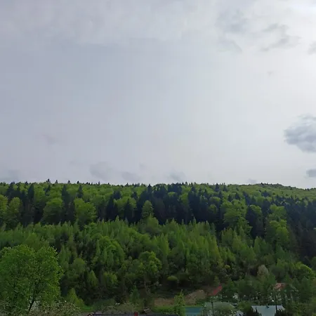Maison d'hôtes гостьовий двір Yaremtche